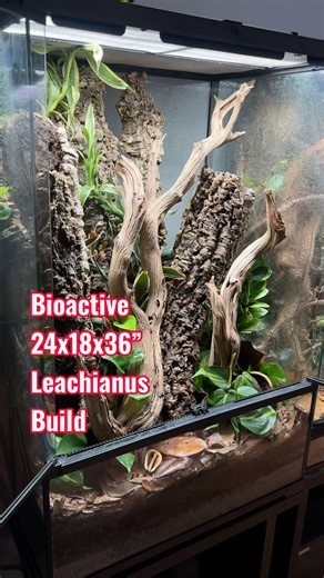 How to build a 24x18x36” Exo Terra Pro for a Leachianus Gecko.