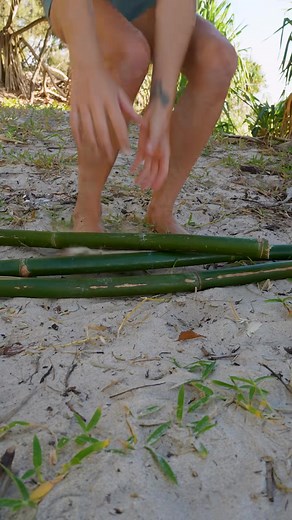 87K views · 1.4K reactions | Control FIRE with Bamboo No Rope Just Survival Skills survival outdoors camping explore fyp No rope No gear Just a knife and bamboo I built this to control the fire using raw survival skills | Minsi Outdoors | Facebook