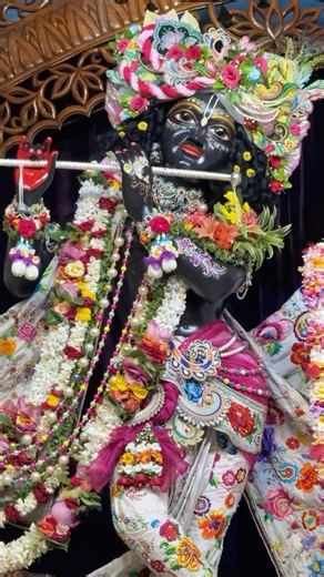 Today’s Divine Sri Sri Radha Madhava Darshan 🌸 | Mayapur ISKCON | আজকের রাধা মাধবের অপূর্ব দর্শন 🙏