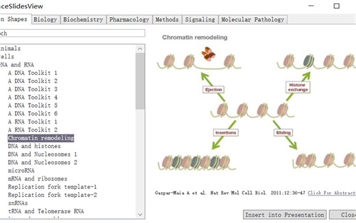 Rocscience Slide 6.03 岩质边坡稳定性分析 免激活下载安装地址 零基础也能掌握