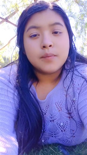 Videos de lesli yopla (@user2p47ht84ax) con “sonido original - Santos Banda Mestanza🦅”