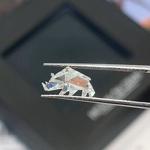 What unique shapes are charging onto the diamond scene? Seen here is a 0.72 carat Rhino Modified Brilliant cut diamond graded by GIA! If we had to choose a favorite animal, this would be it! Courtesy: House of Gems | GIA Education