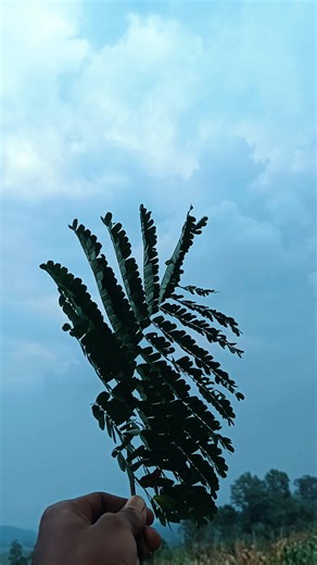 ఈరోజు మనం చేయబోతున్నాం Mini Challenge Mama