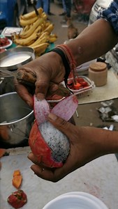 Dragon fruit cutting Tachnique | Our Collection