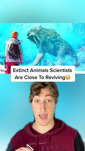 Extinct animals coming back😳#fyp #foryoupage #viral #time #wow #crazy #extinct #animals #science #insane #edutok #LearnOnTiktok #woah #learn#omg#cool