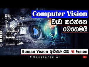 Computer Vision පිලිබද සියල්ල සරලව | Power of Machine Learning in Visual Recognition