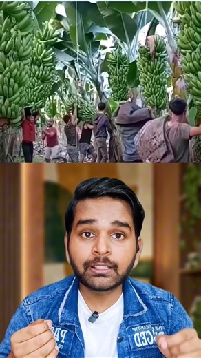 The Future is Banana! 🍌 How India is Making Leather Without Killing Animals! 🐄🚫