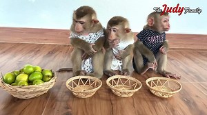 34K views · 1K reactions | Vry AIert & AIarminq Flloyd In His New Room With 3 Siblinqs | The Judy Family | Facebook