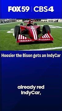 Hoosier the Bison has a new set of wheels, check out his new IndyCar.