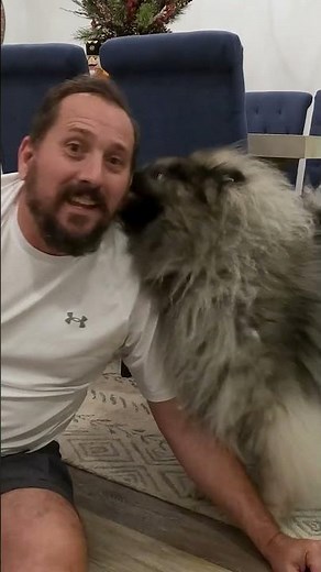 🐶 Unleash the Fun: Wobble Wag Giggle Ball Interactive Dog Toy Review 🎾