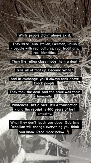 Whiteness Was Invented: THE WHITENESS CONTRACT part 1