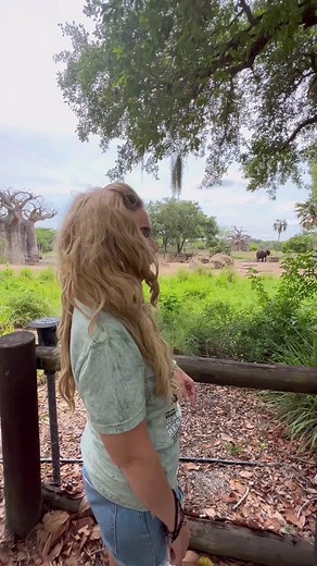 Super Affordable Disney Private VIP Elephant Tour at Animal Kingdom