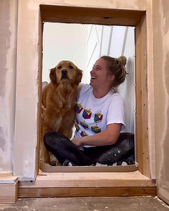 4.2M views · 25K reactions | This dog mom renovated a small room under the stairs fro her dog ❤️ | Lessons Learned In Life | Facebook