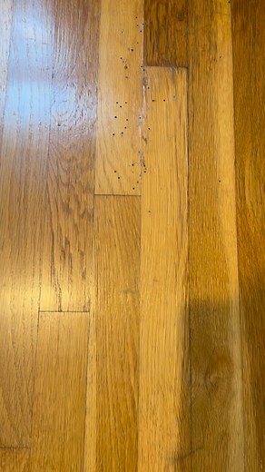 Just a little something, I learned today about powder Post Beatles that I would like to share with everyone. | D&M Hardwood Flooring