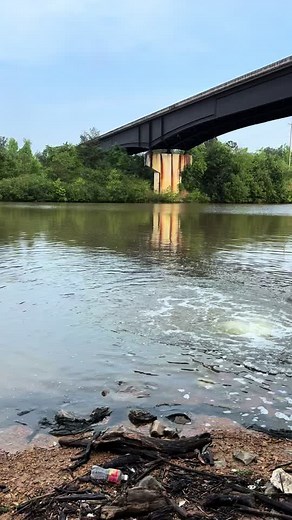 Catching Shad for Bait: A Fishing Guide