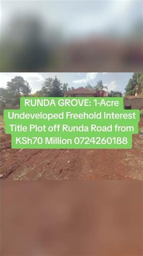 RUNDA GROVE: 1-Acre Undeveloped Freehold Interest Title Plot off Runda Road 77M