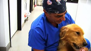 HOWLING FOR HELP: Badly burned. This sweet golden retriever now making a miraculous recovery after someone set him on fire! Rescuers named him Fergus, which is Irish for powerful. He's proving to be just that. The heroes who saved him, the hunt for the cruel suspects and what you can do to help. At 11p.m. on NBC4. | NBC LA