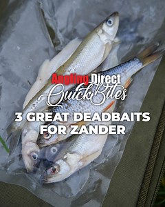 🍁 What's the best dead baits to use for Zander? Watch this video to find out! Subscribe! 📺 https://bit.ly/3h8GuCV #AnglingDirect #GettingEveryoneFishing #ADTV #ADQuickBite #Fishing | Angling Direct