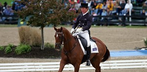 Horse whipping is painful and cruel. The latest incident shows why it should be banned