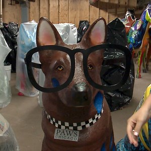 These cool dog statues on the Mag Mile in downtown Chicago are raising money for the families of fallen police officers and the PAWS animal shelter. http://via.wgntv.com/Fnlve | WGN TV