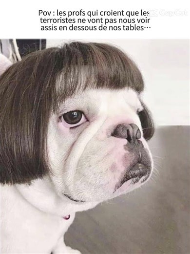 zerhma elle croit on est caché #humour