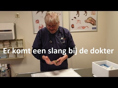 Er komt een slang bij de dokter