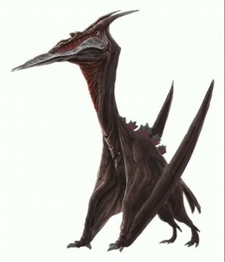 Rodan's evolution in Godzilla singular point