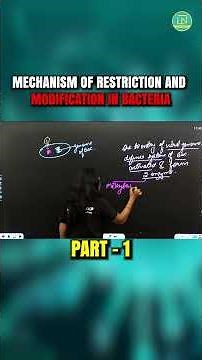Mechanism of Restriction & Modification in Bacteria | Easiest Explanation Ever 🔥🧬 #biology #shorts