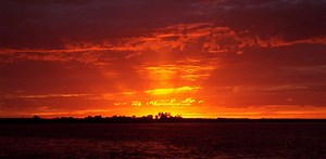 If I had a blank cheque I’d … verify the earliest forms of life