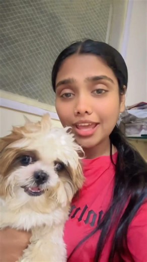 “Angry Shih Tzu Won’t Even Let Me Talk 😅 | Tiny Dog With Big Attitude!”📝 Description