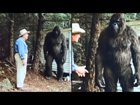 He Fed Bigfoot for 40 Years, Then He Learned Why It Fears Us - Sasquatch Story