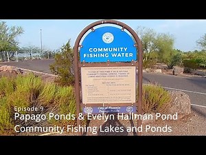 Episode 9 Papago Ponds & Evelyn Hallman Pond - Community Fishing Lakes and Ponds