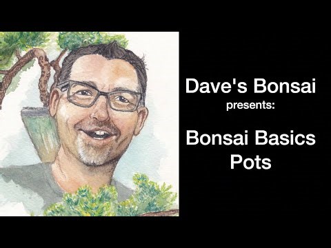 Bonsai Basics: Pottery