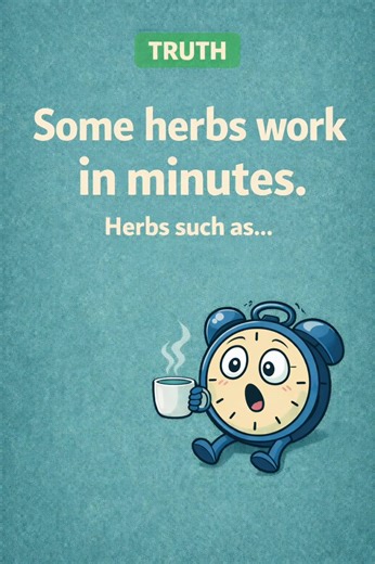 Not all herbs are slow. Some work in minutes when you use the right plant at the right time. Real herbalism is about intention, not just time. #herbalism #plantmedicine #naturalwellness #holistichealth #JennAndTonicFarmacy