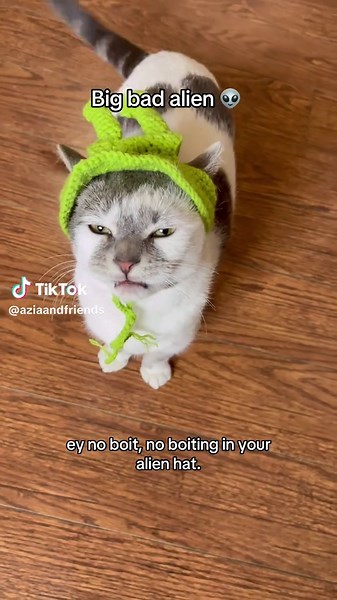 Funny Cat in Alien Hat: A Hilarious Moment