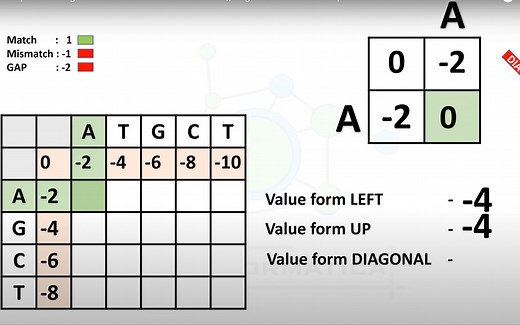 【油管搬运】Global Sequence Alignment & Needleman-Wunsch