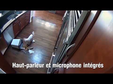 InoCam Mini™ Caméra WIFI 1080P par INOMEGA