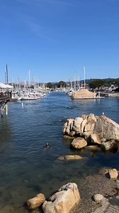 54K views · 1.6K reactions | It's a beautiful 65-degree weekend—perfect for exploring! ☀️ Craving fresh seafood, local shops, and breathtaking waterfront views? Head to Old Fisherman's Wharf in Monterey, an iconic spot you can’t miss. Come join the fun! 呂. #seemonterey  @somosfoodie.mx  Monterey Old Fisherman's Wharf | See Monterey | Facebook