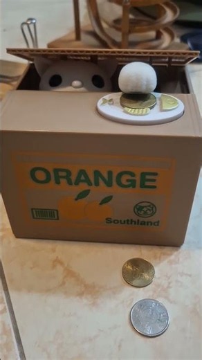 Asmr catbox orange box stealing funny house🏡#asmr #asmrsounds #satisfying