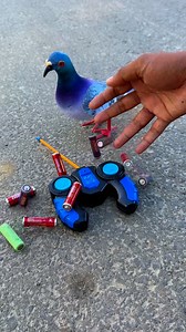 Normal Pigeon VS Remote Control Pigeon | Dehati Gaming