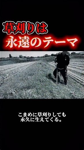 No matter how much you mow, the grass never seems to end. A spider mower is recommended for slope...