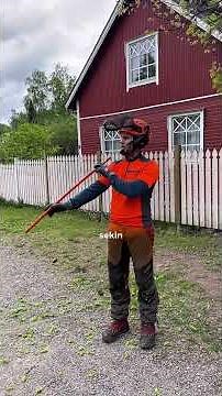 Miten arboristi arvioi puun pituuden? #puunkaato #puunkaatovinkit #arboristi #vinkkivideo #pihatyöt