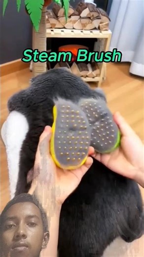 #greenscreen #shorts #viralvideo #plz_subscribe_my_channel