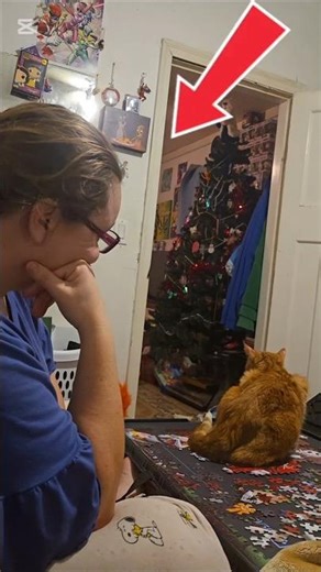 Cat Refuses To Get Off Puzzle In Hilarious Fashion
