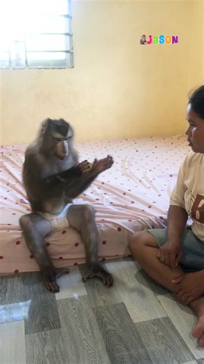 Hilarious Jason Practice Magic Hand To Trick Mom With Lemon | Monkey Jason