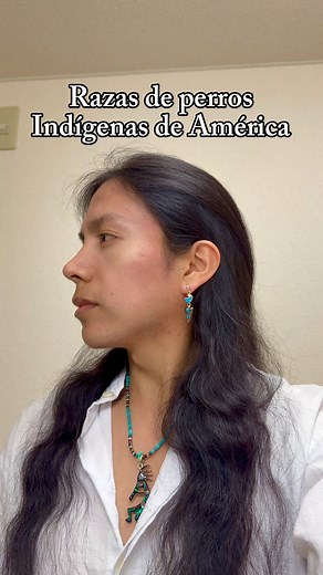 Razas de perros originarios de pueblos indígenas en América 🐕 | David Maigua