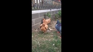 13K views · 154 reactions | A solid proof of how the environment can change your behavior | MAX Cleaner | Facebook