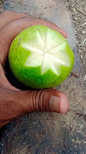 Amezing guava cutting tequnic #guava #fruit #shortsvideo #cuttingart #vegetables