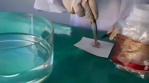 钠与水的反应实验