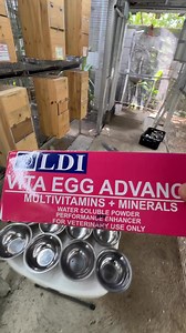 We would like to extend our heartfelt thanks to LDI for their Vita Egg Advance product. Since incorporating it into our breeding program, our Sun Conures have become remarkably prolific. The enhanced nutrition provided by Vita Egg Advance has clearly contributed to improved fertility, healthier eggs, and stronger, more vibrant chicks. This supplement has truly made a significant difference in the success and productivity of our breeding efforts. Lakpue Sixtyeight | Myko's Aviary